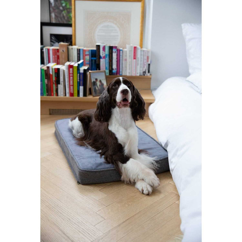 Memory Foam Dog Bed Z592