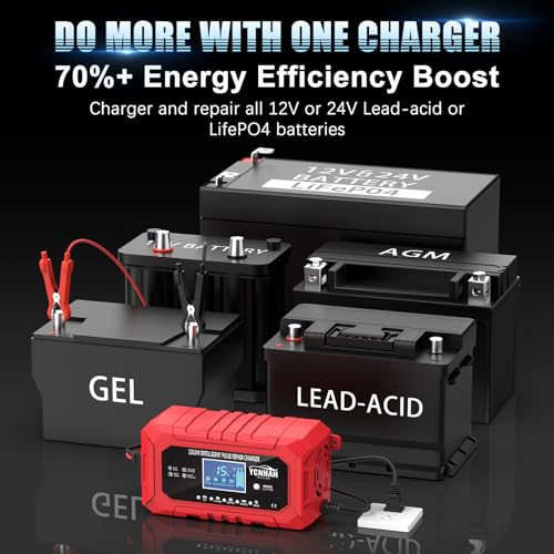 12V/24V LiFePO4 & Lead Acid Car Battery Charger R306285
