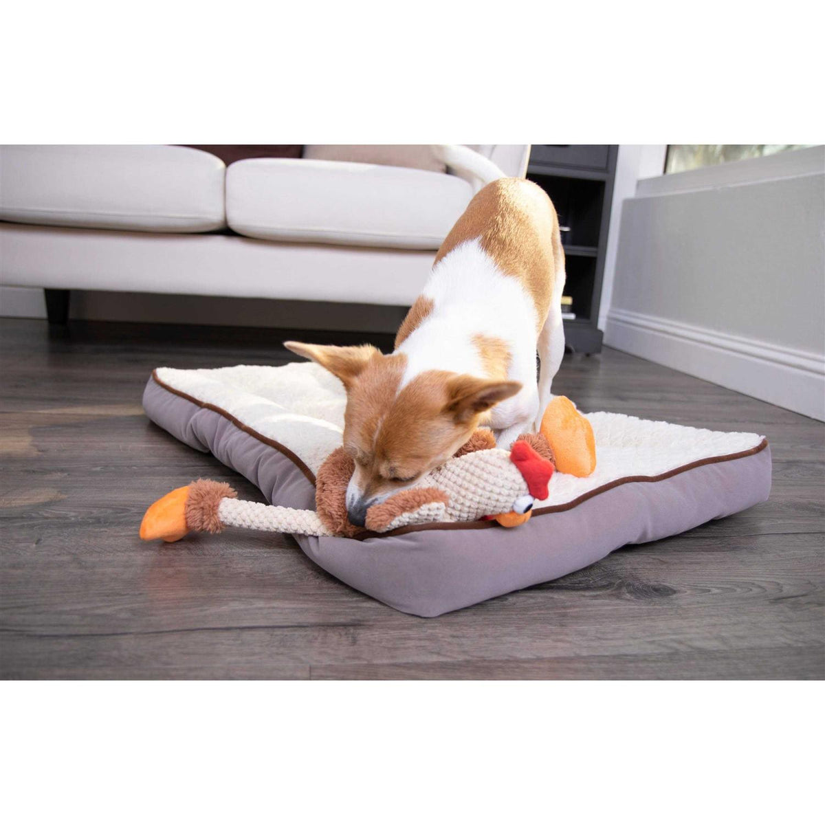 Skinny Rooster Dog Toy L558216