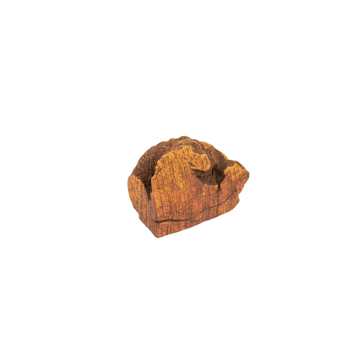 Chew Root for Dogs J180682