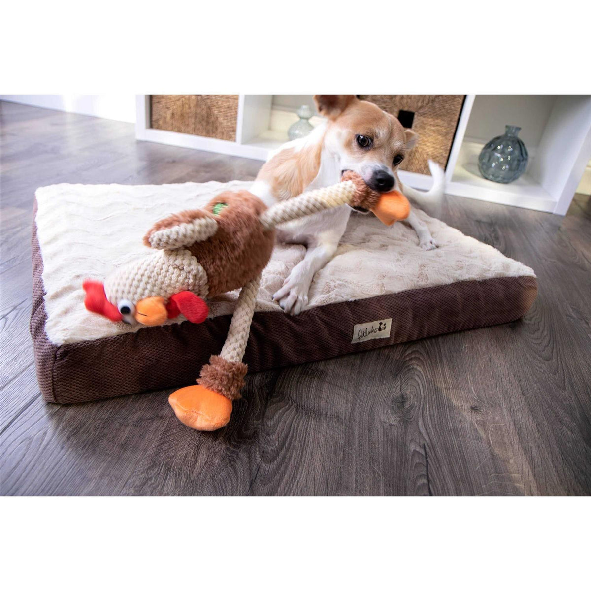 Skinny Rooster Dog Toy L558216