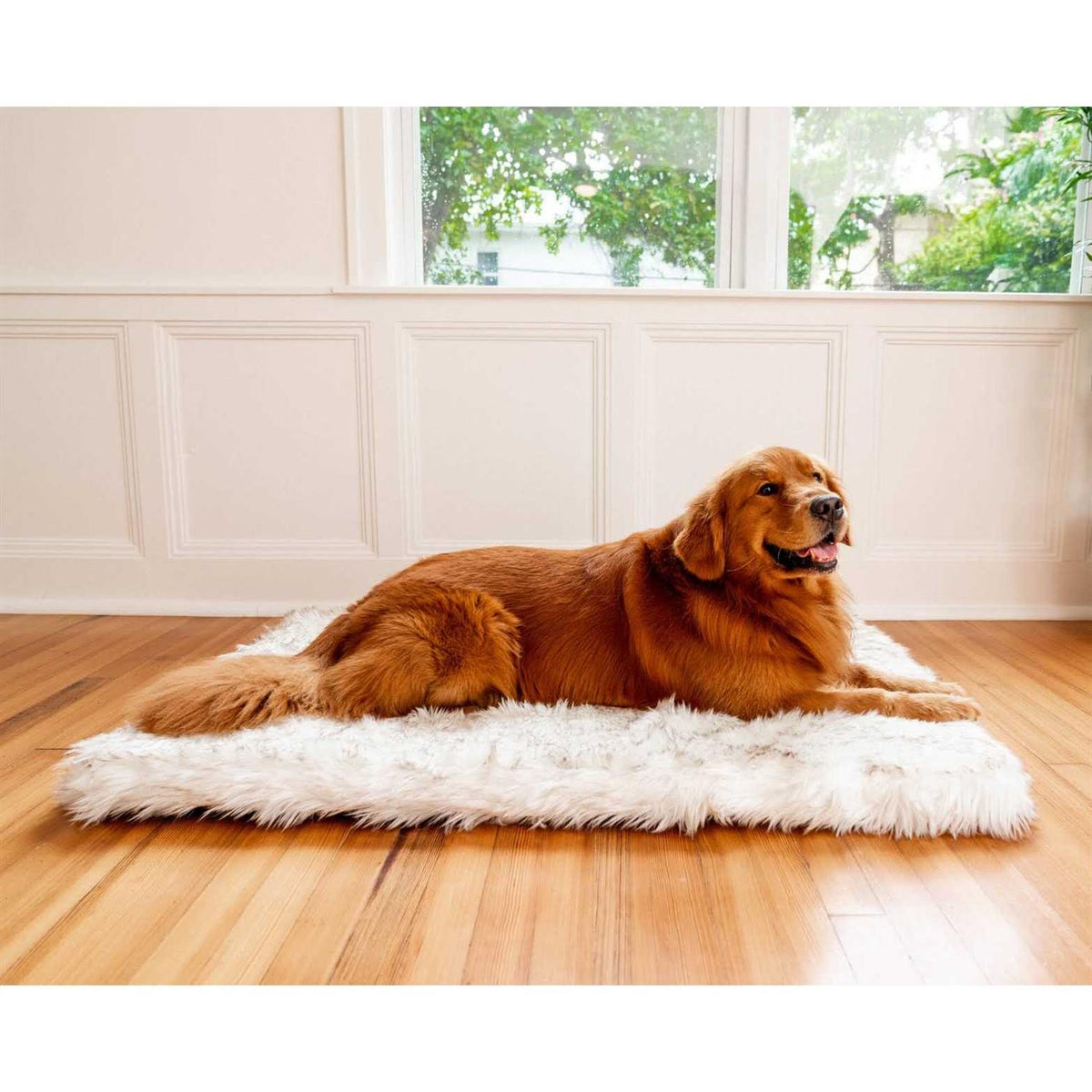 Faux Fur Orthopedic Dog Bed H74837