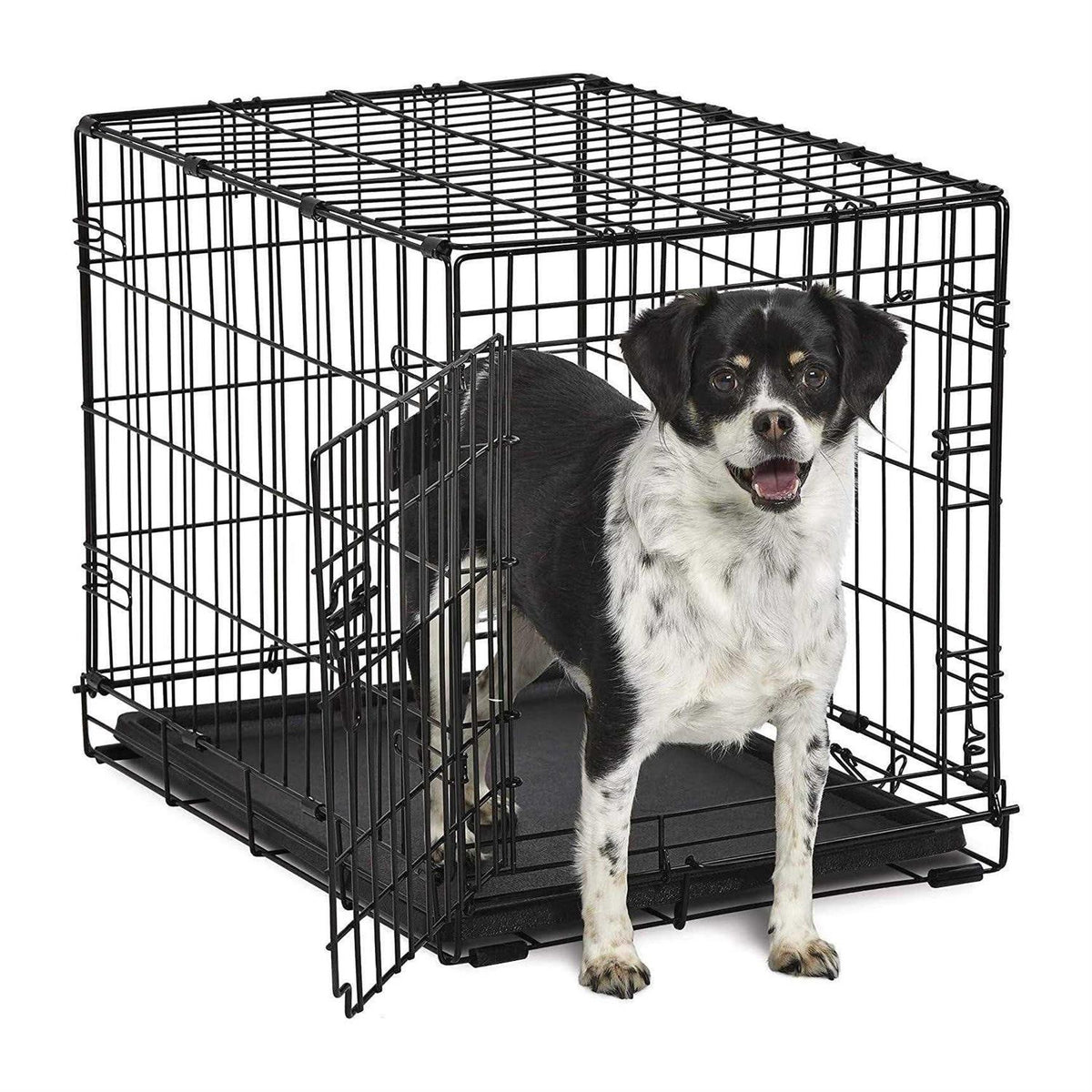 Single-Door Dog Crate V62855