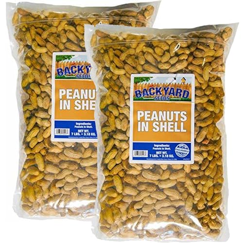 Raw Peanuts in The Shell 7 Pounds N7165