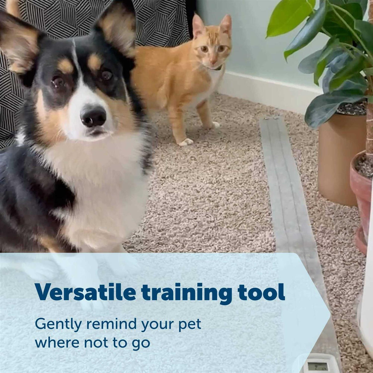 Indoor Training Mat Q562