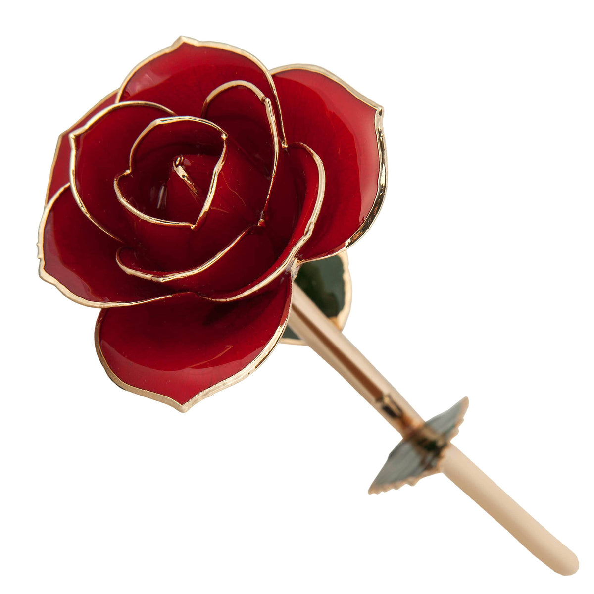 24K Gold Dipped Laquered Rose R6638