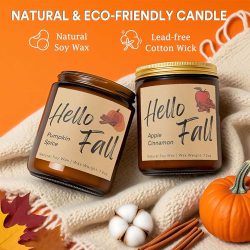 4 Pack Natural Soy Wax Christmas Candles Y571