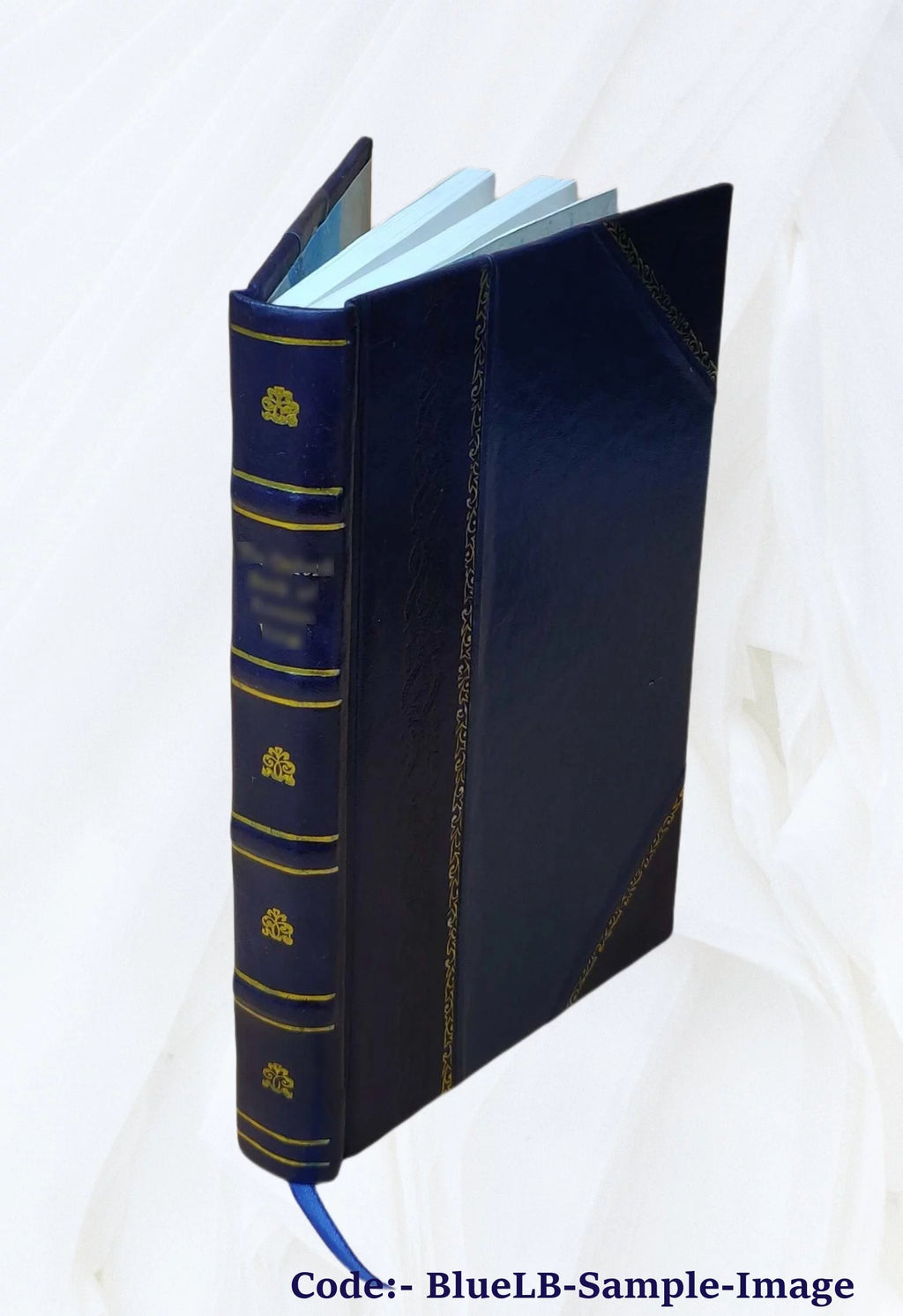 Rio de Janeiro Piauhy Impressões de Viagem Leather Bound D864