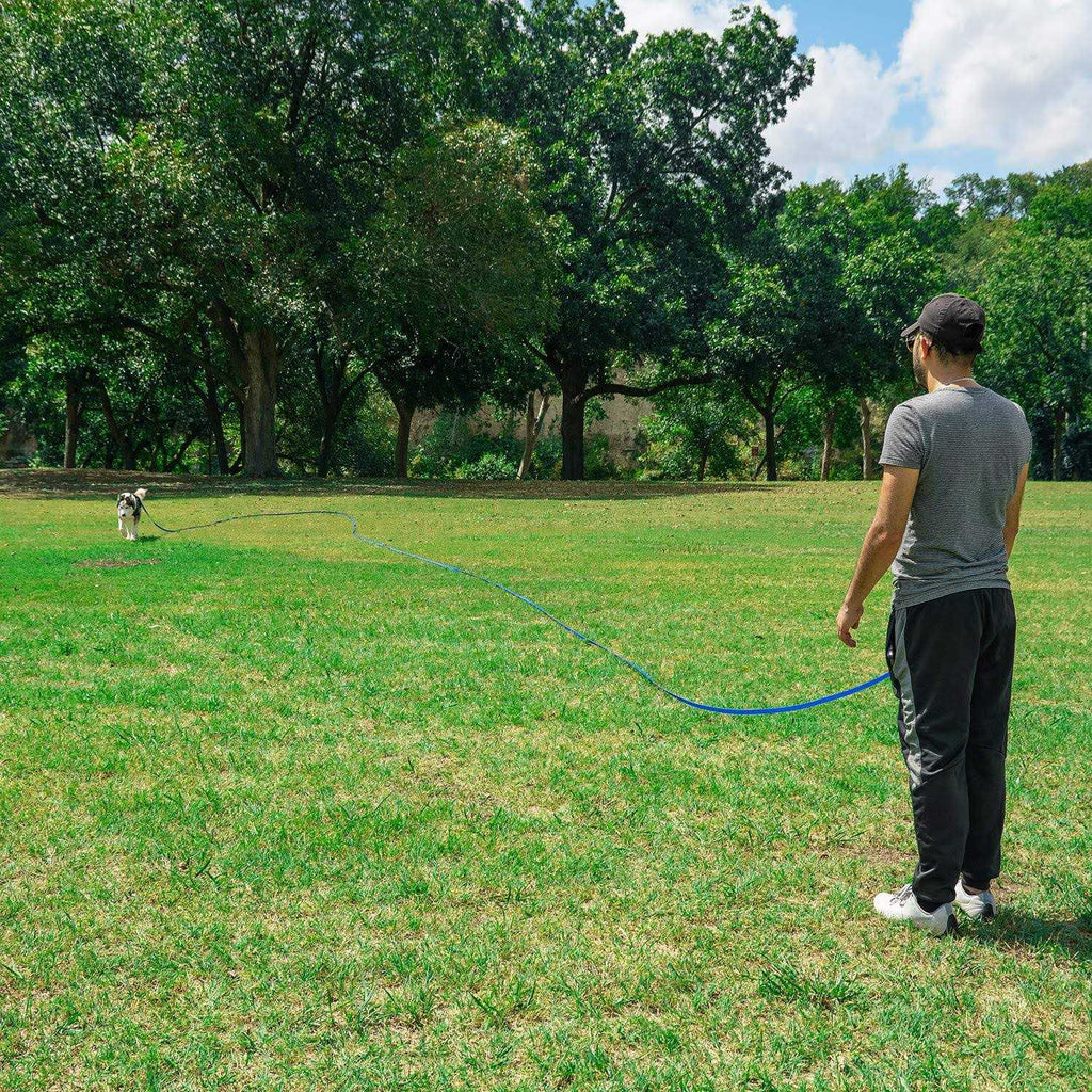 Dog Training Leash S351