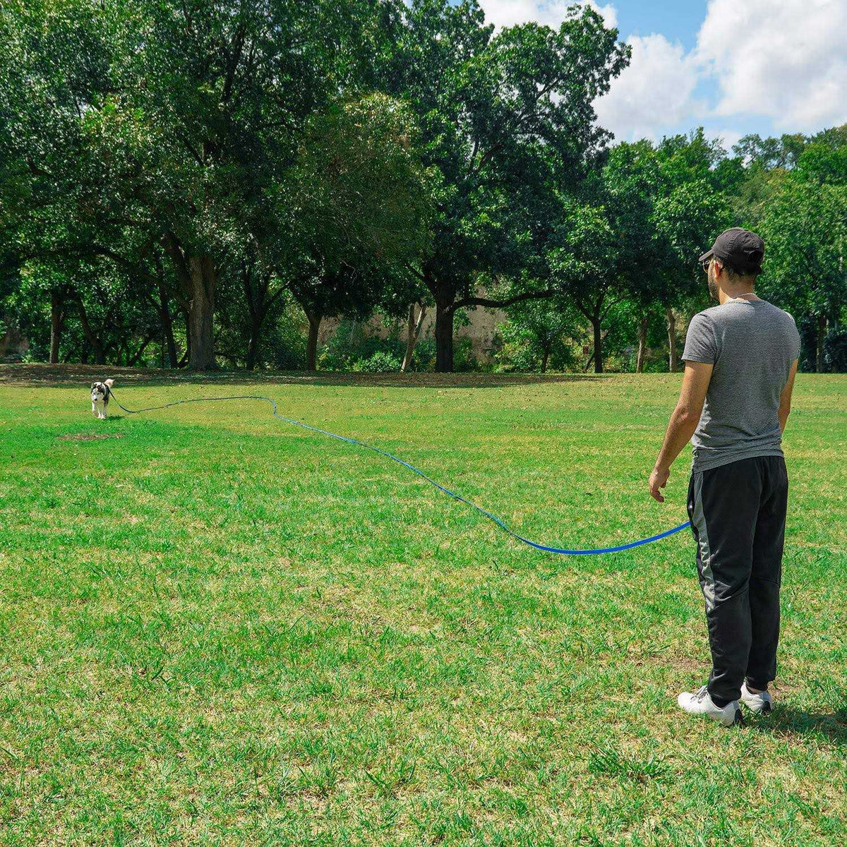 Dog Training Leash S351