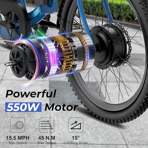 24" 499Wh Folding 3 Wheel Electric Tricycle Y176