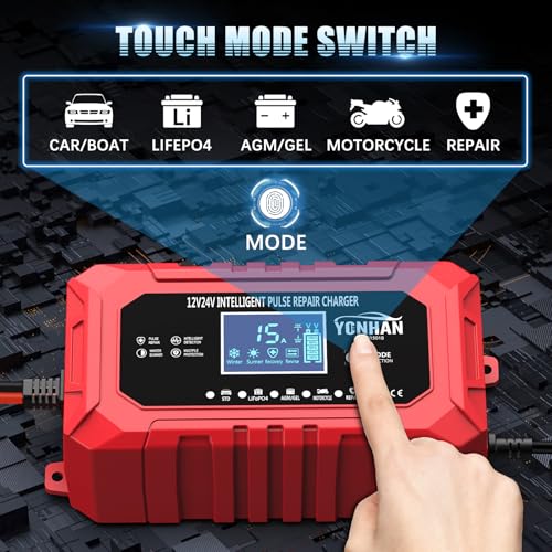 12V/24V LiFePO4 & Lead Acid Car Battery Charger R306285