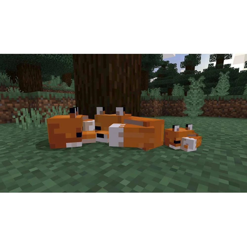 Minecraft Starter Collection PlayStation 4 PlayStation 5 C28465