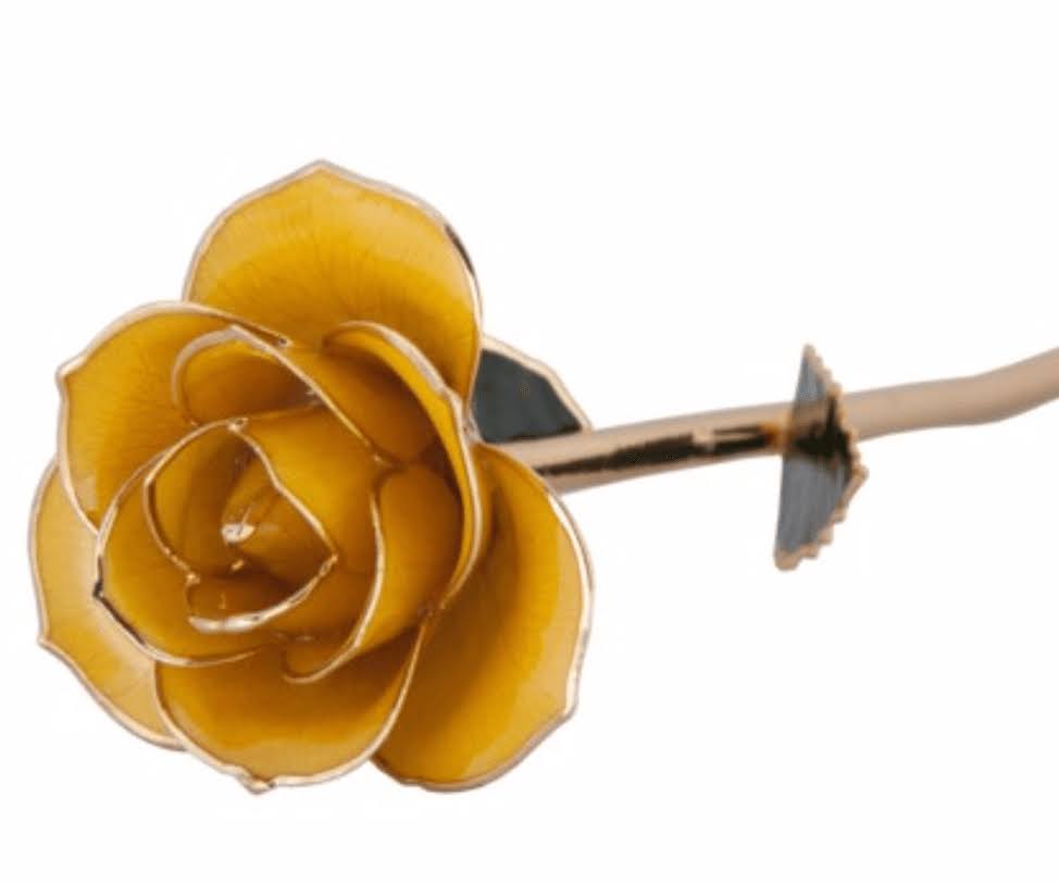 24K Gold Dipped Laquered Rose R6638