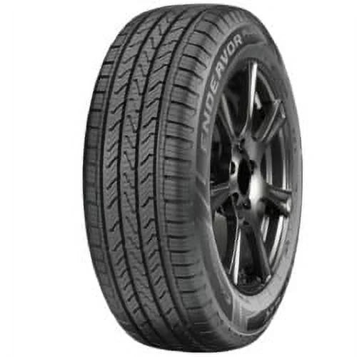 225/55R19 99H Tire F10275