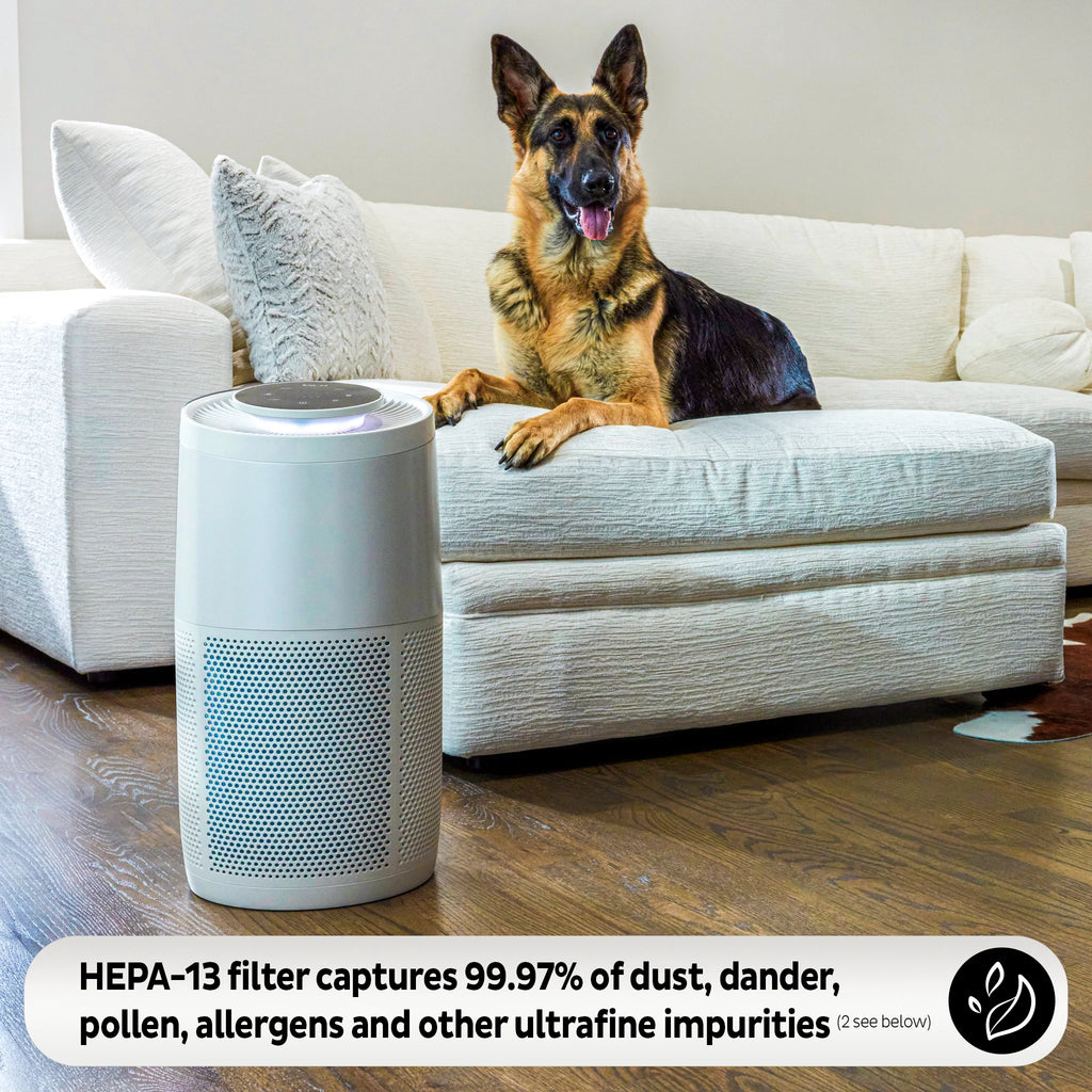 HEPA Quiet Air Purifier with Plasma Ion Technology Y790220