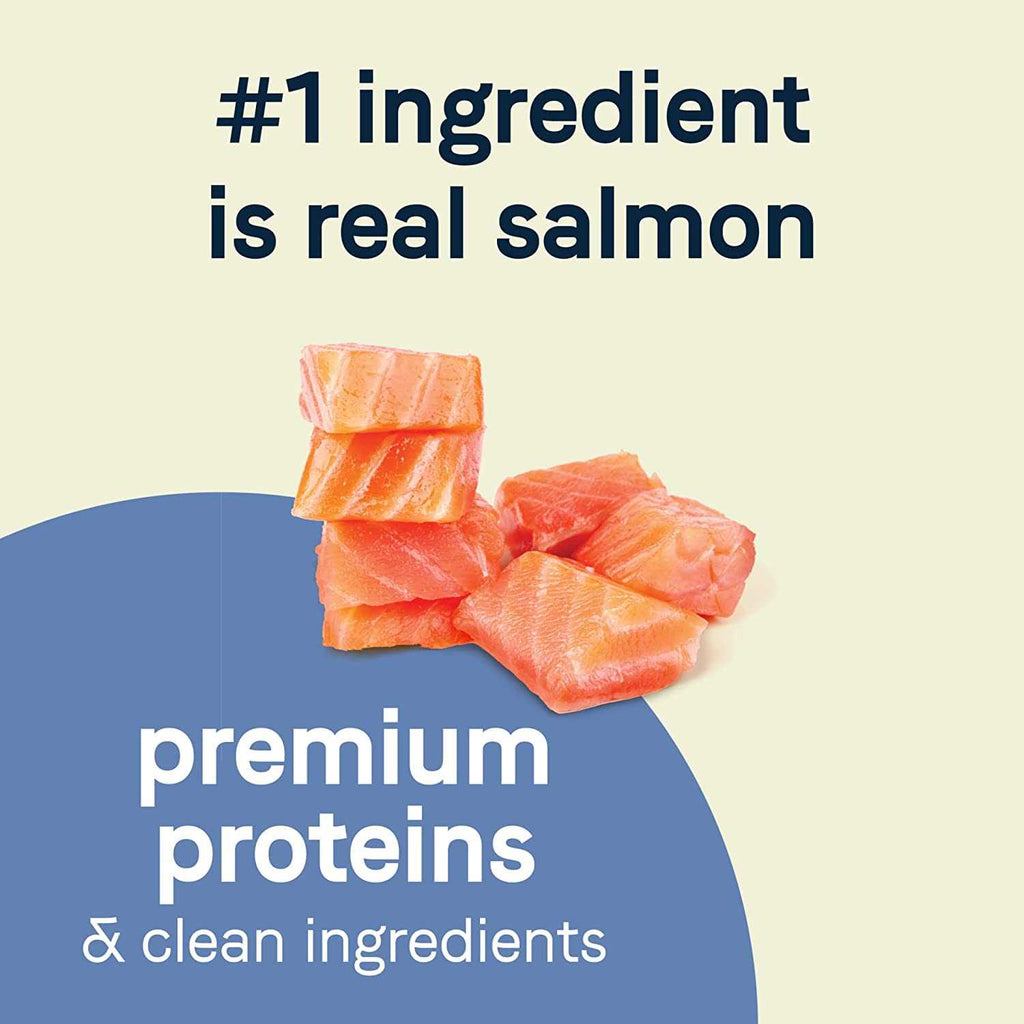 Salmon Dry Dog Food S173202