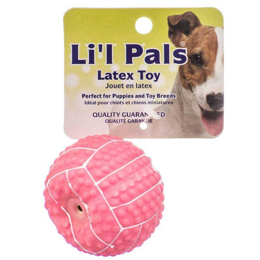 Latex Mini Volleyball for Dogs B474