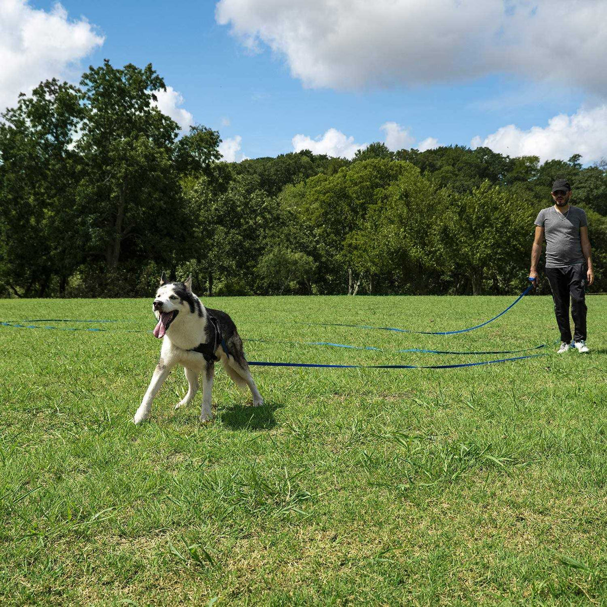 Dog Training Leash S351