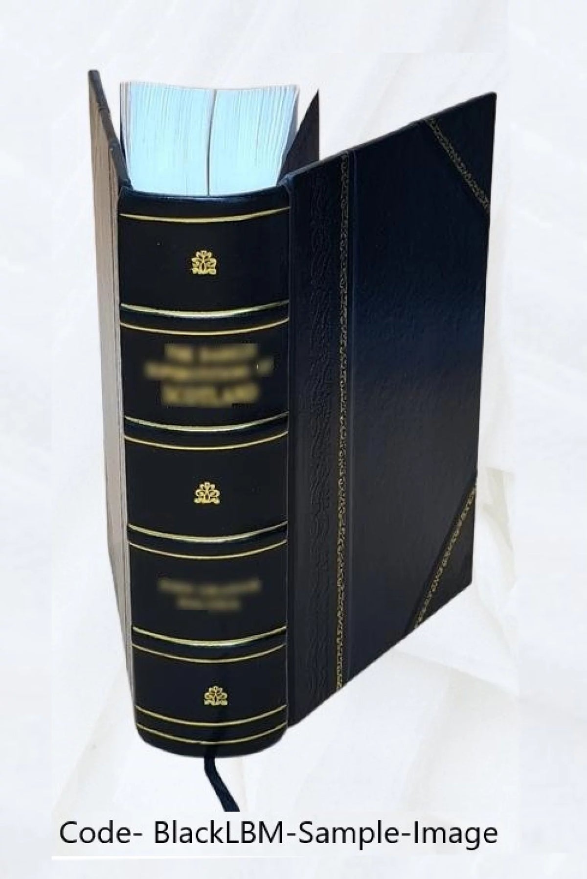 Leather Bound P4523