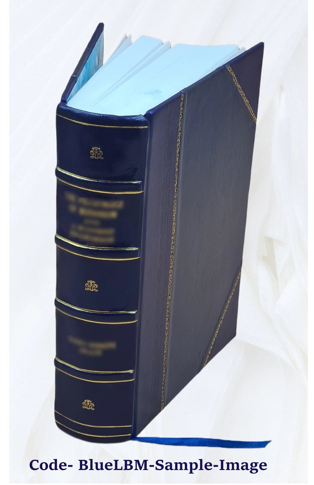 Leather Bound P4523