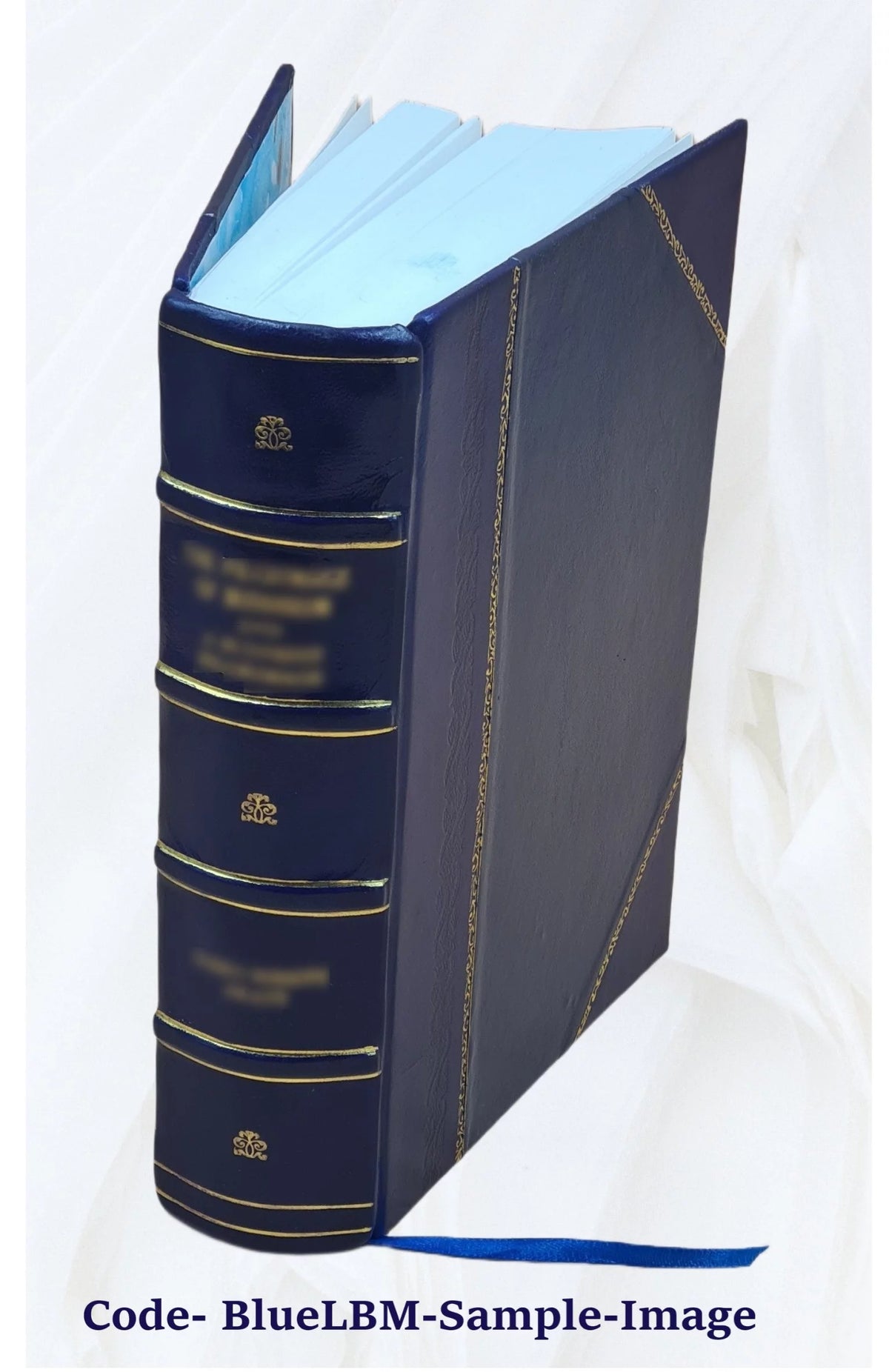 Leather Bound P4523