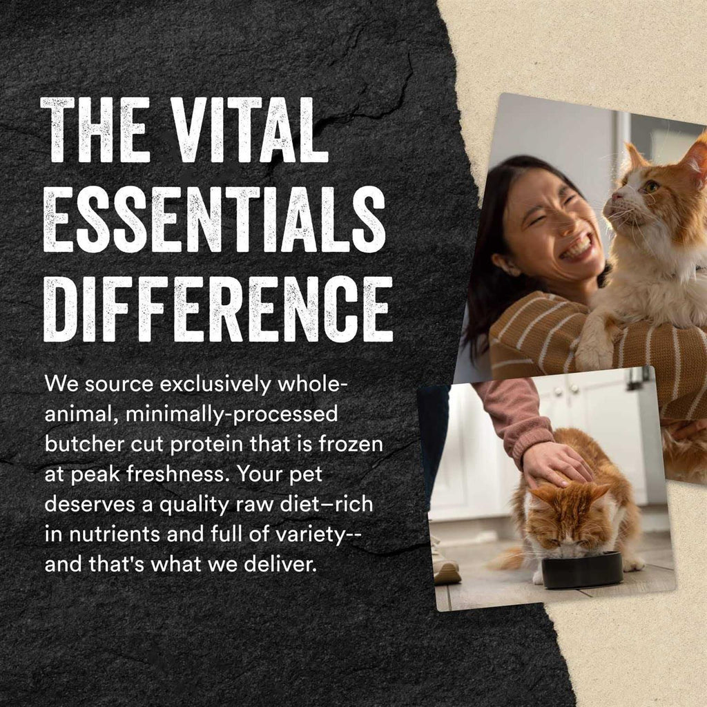 Freeze-Dried Raw Cat Food I2678