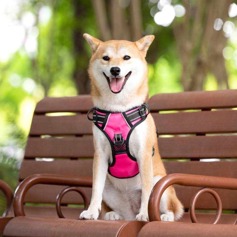 No Pull Reflective Dog Harness C163864
