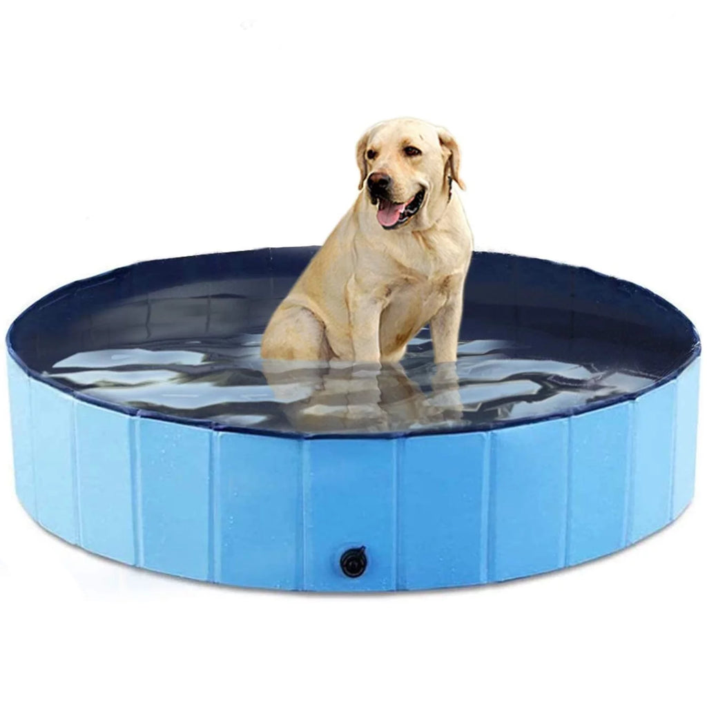 48 x 12 inch Collapsible Blue Pet Pool T3174