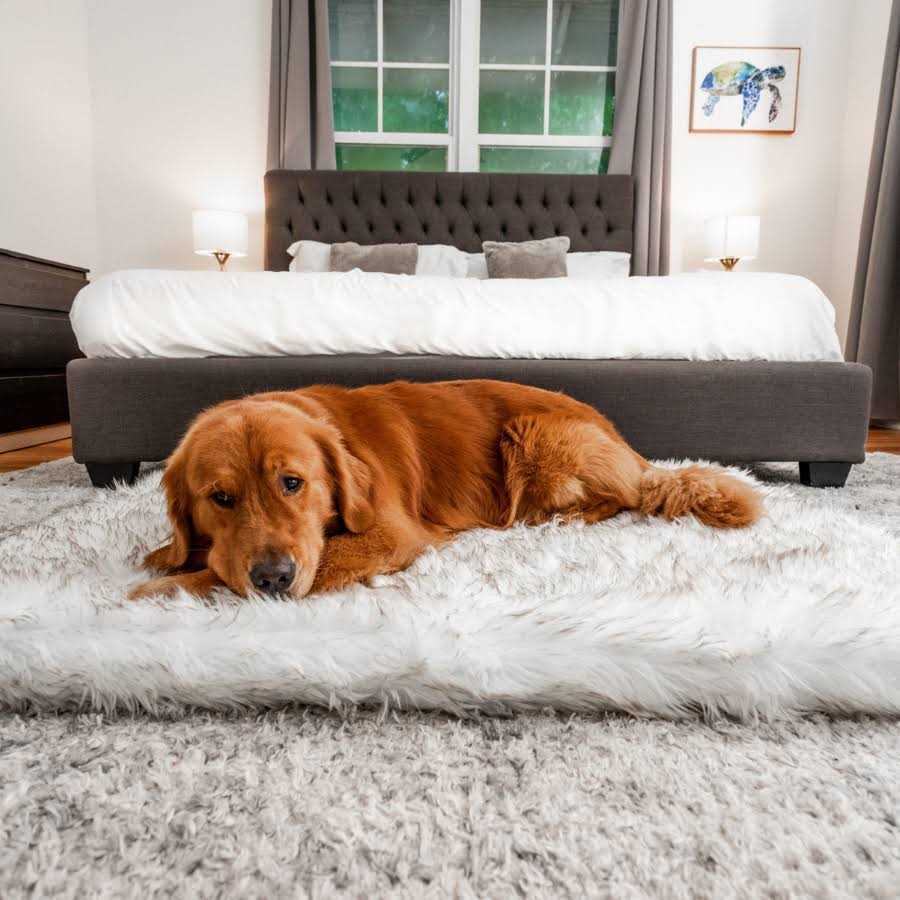 Faux Fur Orthopedic Dog Bed H74837