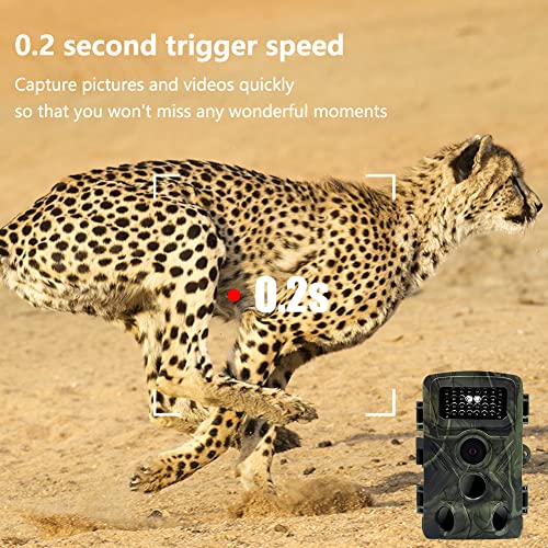 36MP 1080P Mini Trail Camera 2 Pack with 32GB Card N891