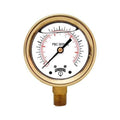 4x22 Brass Case Pressure Gauges D572