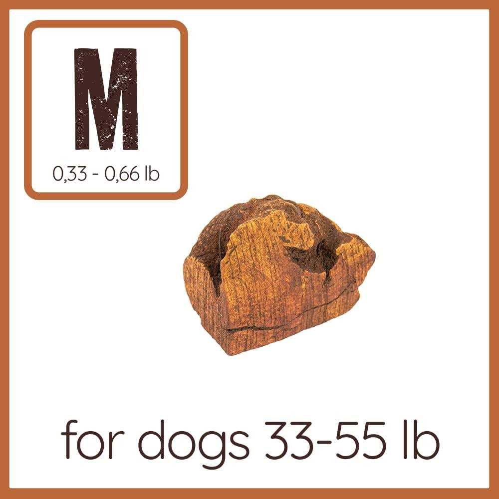 Chew Root for Dogs J180682