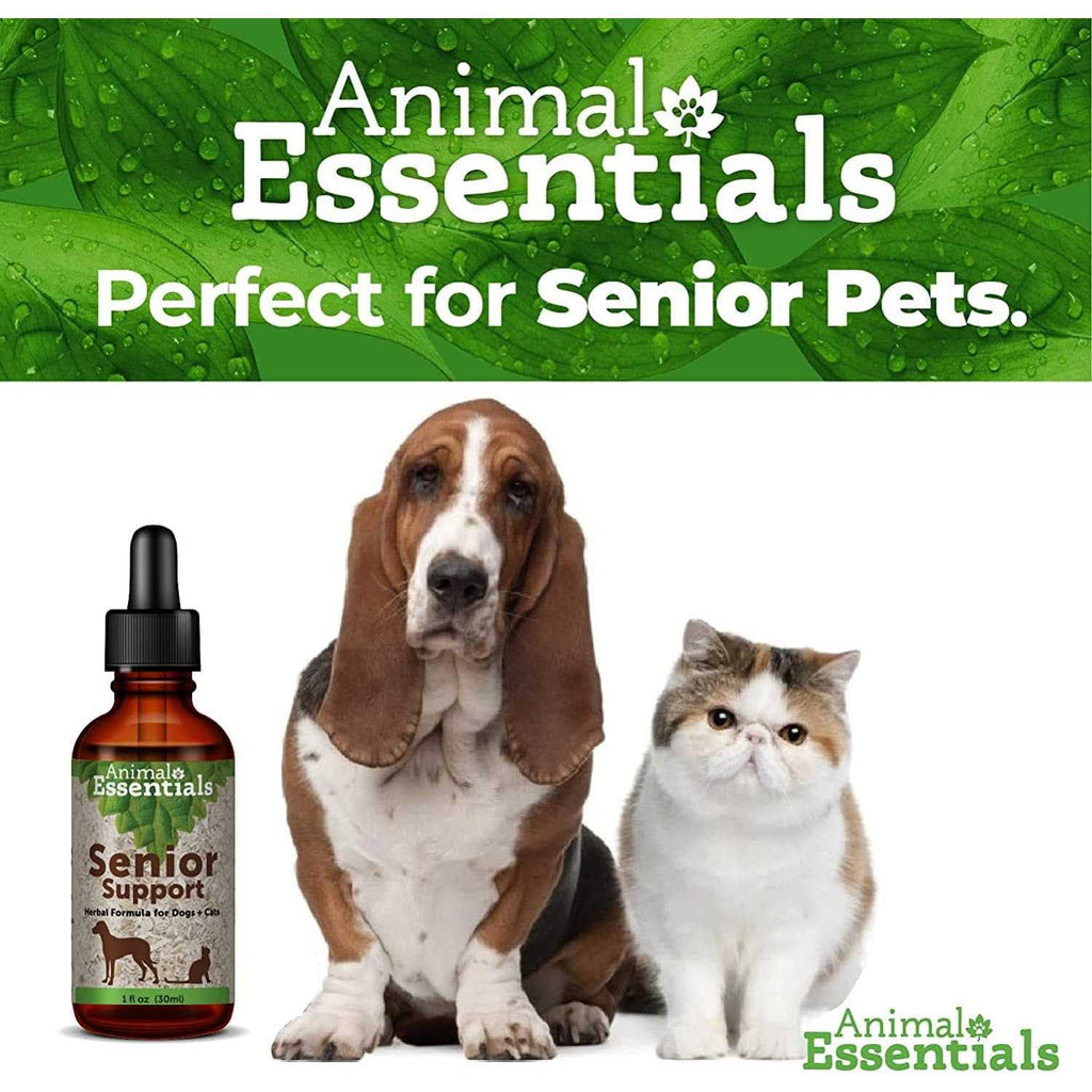Senior Support A7904