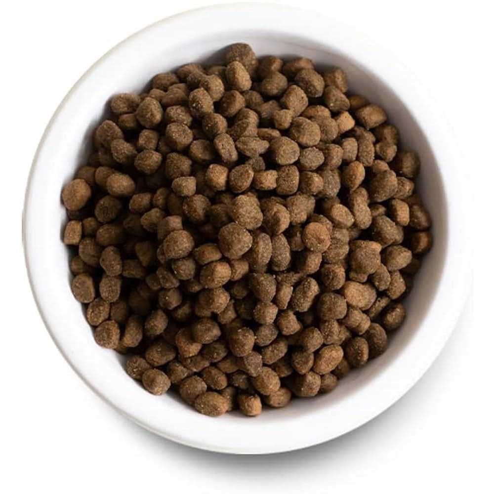 Chicken Ancient Grains Dry Dog Food L713