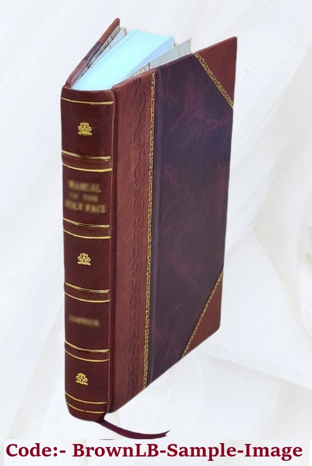 Rio de Janeiro Piauhy Impressões de Viagem Leather Bound D864