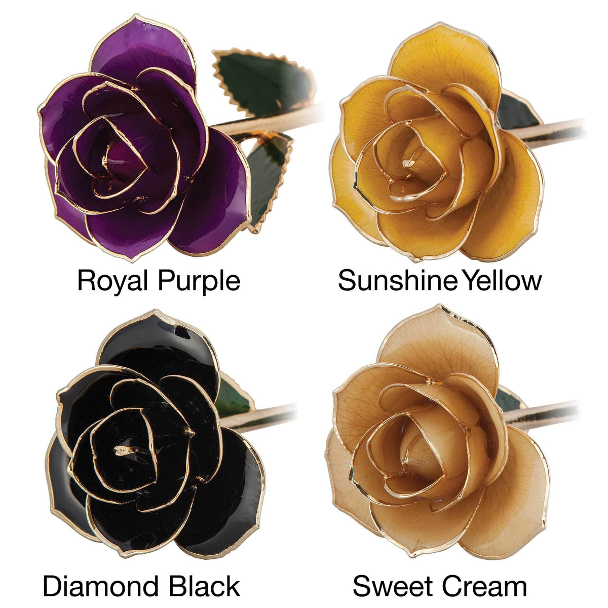 24K Gold Dipped Laquered Rose R6638