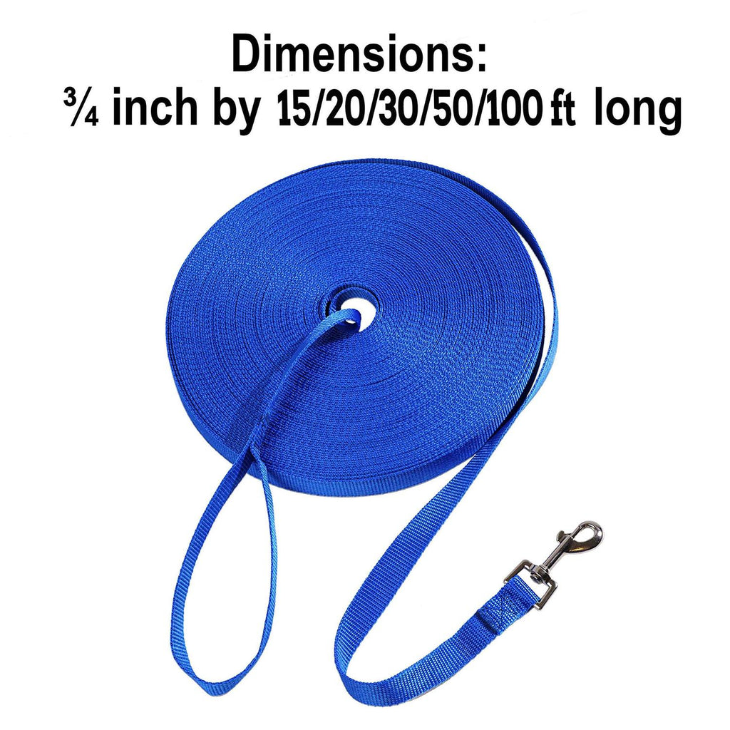 Dog Training Leash S351