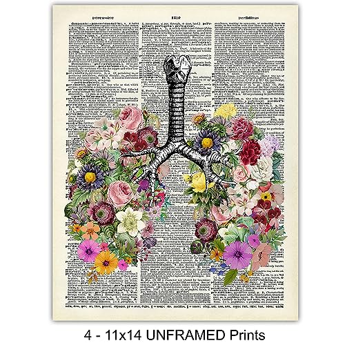 8x10 Vintage Unframed Prints Set Z740535