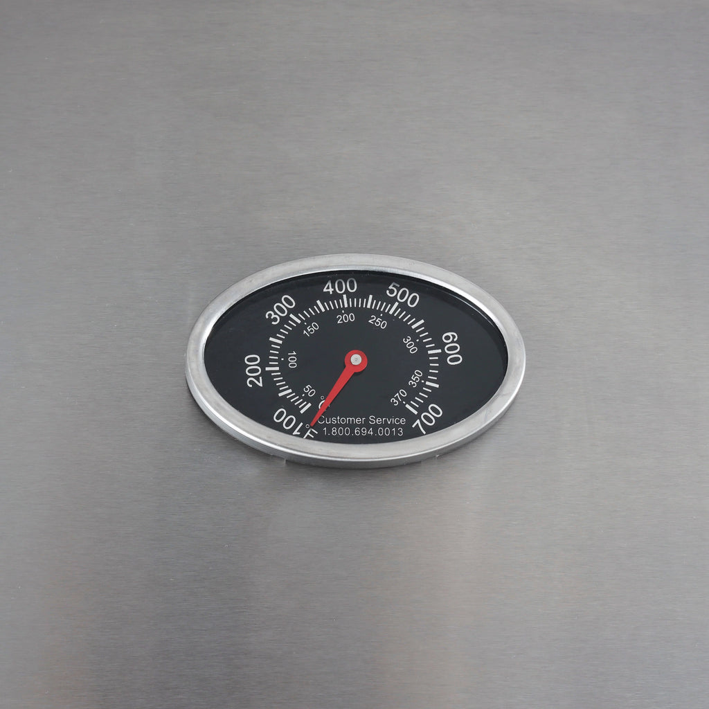 2-Burner Propane Gas Grill N83148