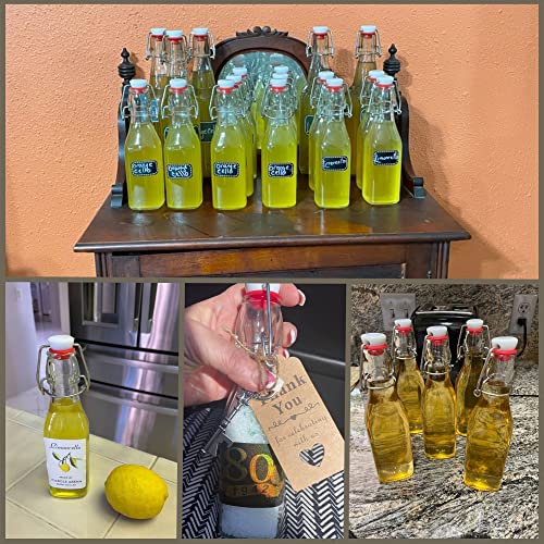 Set of 6 8.5oz Swing Top Glass Bottles N410569