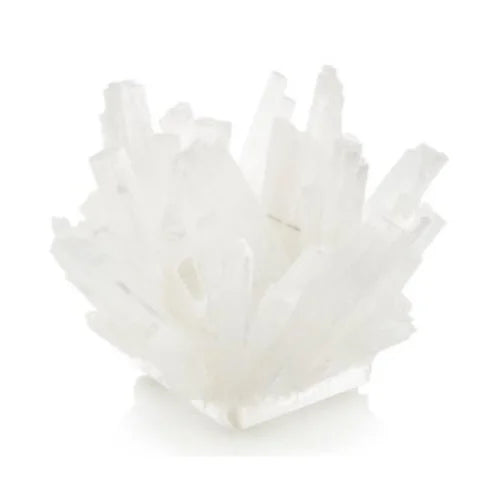 Decorative Bowl O529