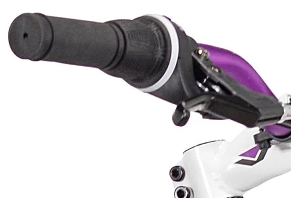 Gray Women's Mountain Bike A6750