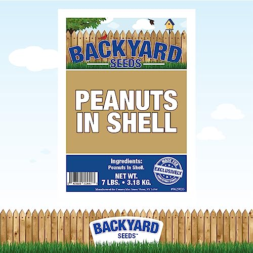 Raw Peanuts in The Shell 7 Pounds N7165