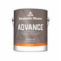Advance Base Paint Interior 1 P674829