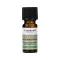 Marjoram (French) Essential Oil 9ml P32541