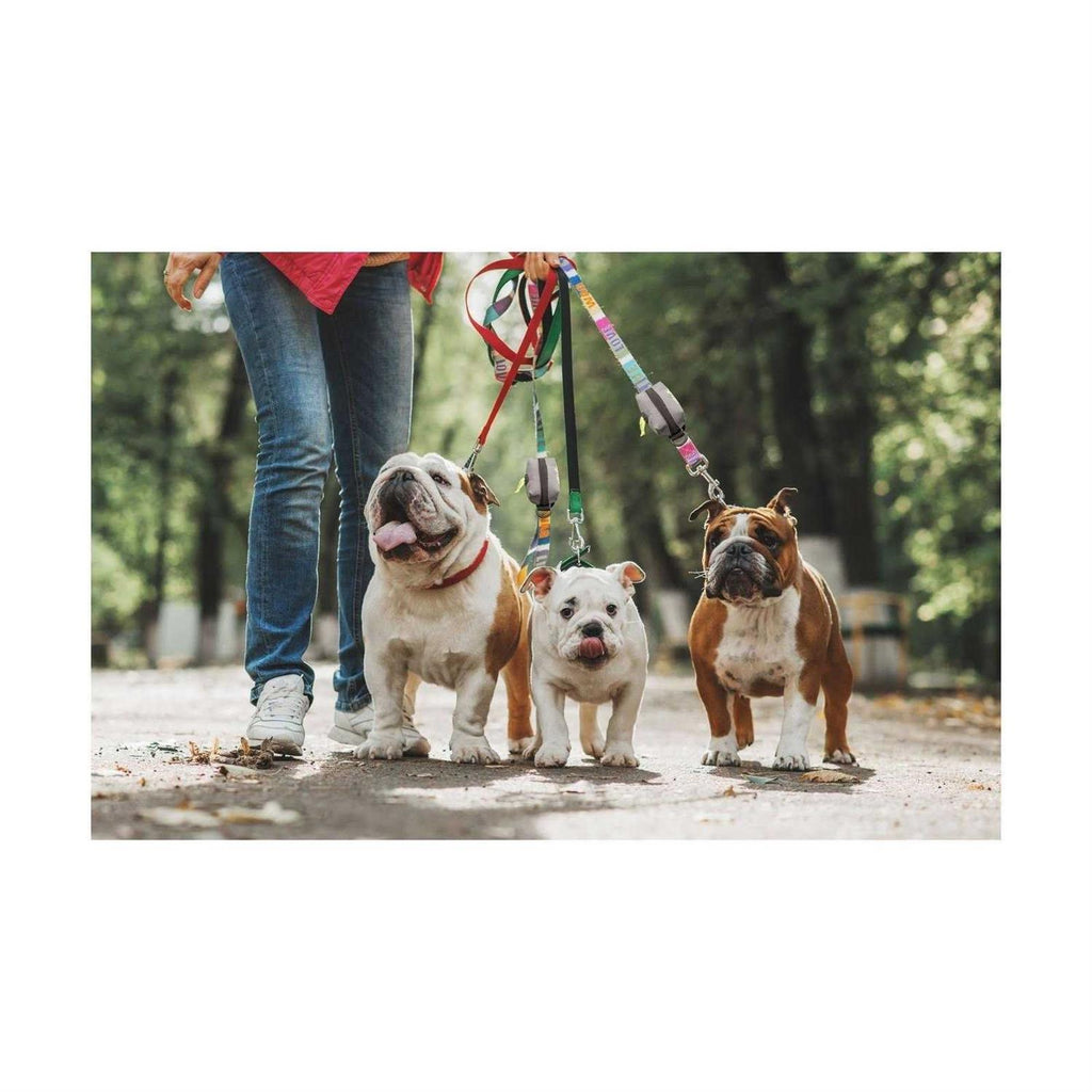 Leash Attachment Poop Bag Holder O9213