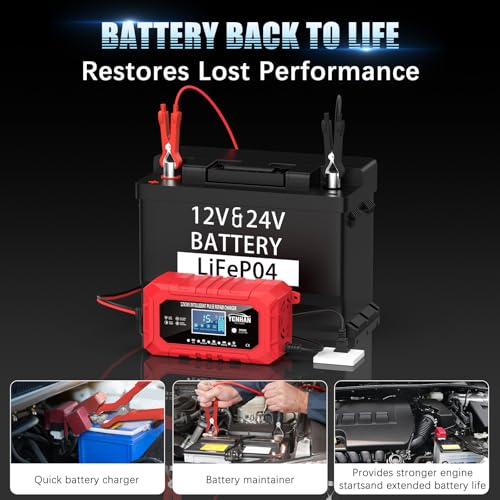 12V/24V LiFePO4 & Lead Acid Car Battery Charger R306285