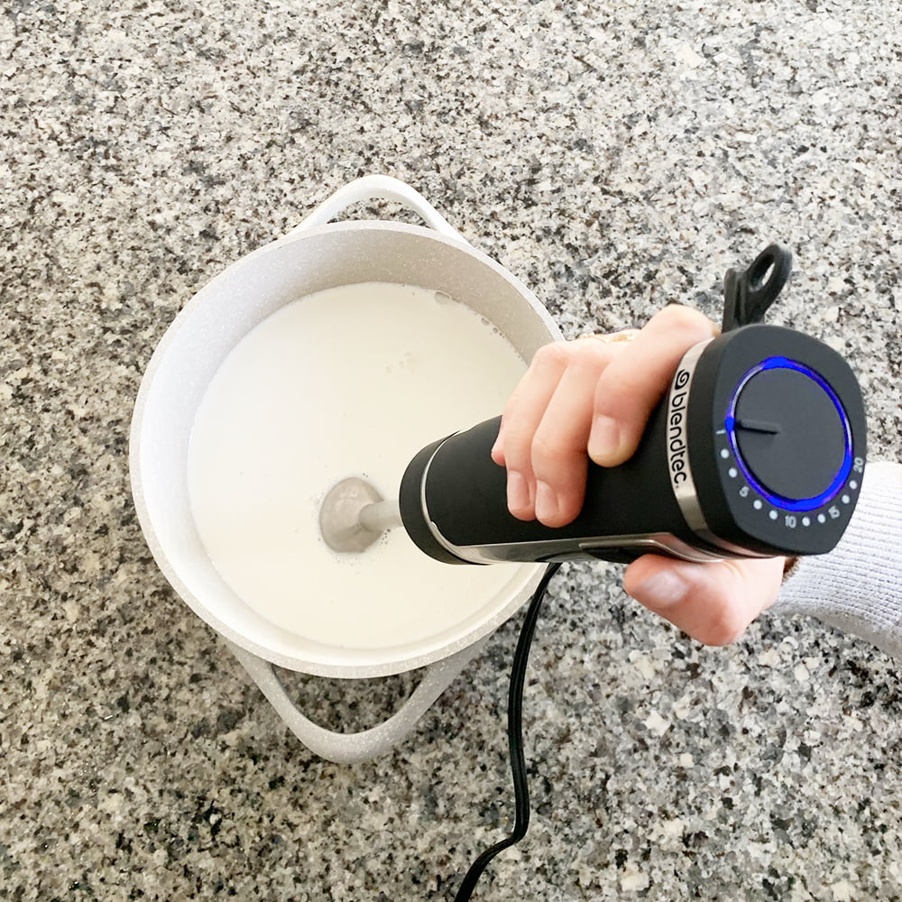 Immersion Hand Blender Stainless Steel W73098