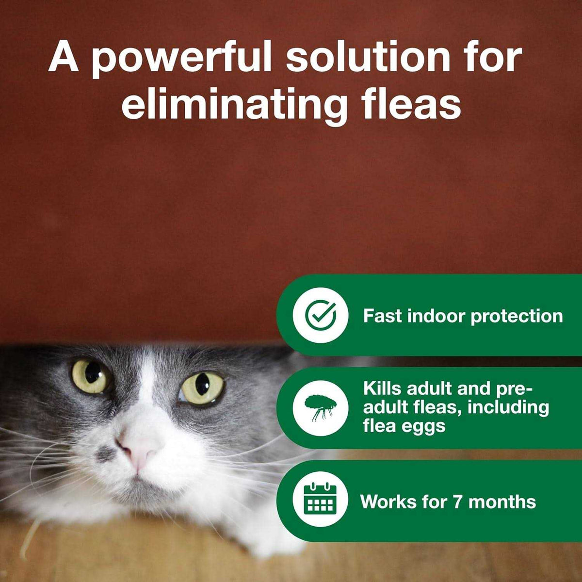 Flea Treatment Spray for Cats X29686